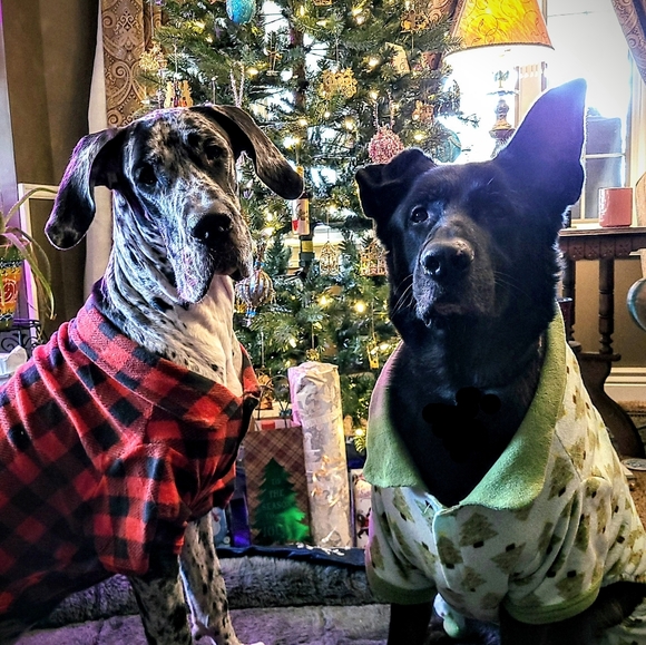 Meet your Posher, Scotti Leigh - Picture 4 of 8